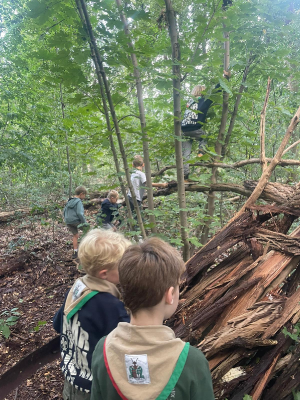 Sint-Martinus den XIIde - Opening 2024